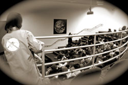 Jasmine Bell interned at the San Diego EcoCenter, where she developed educational programs for elementary school students