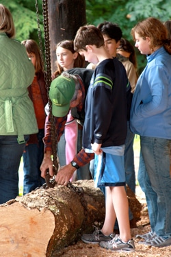 Students examining a fallen tree