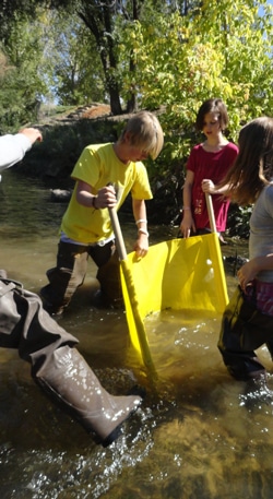 picture of students exploring a river