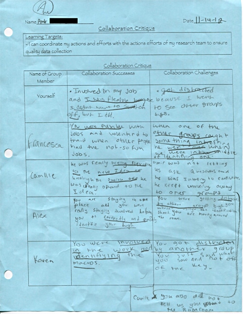 A sample page of collaboration critique