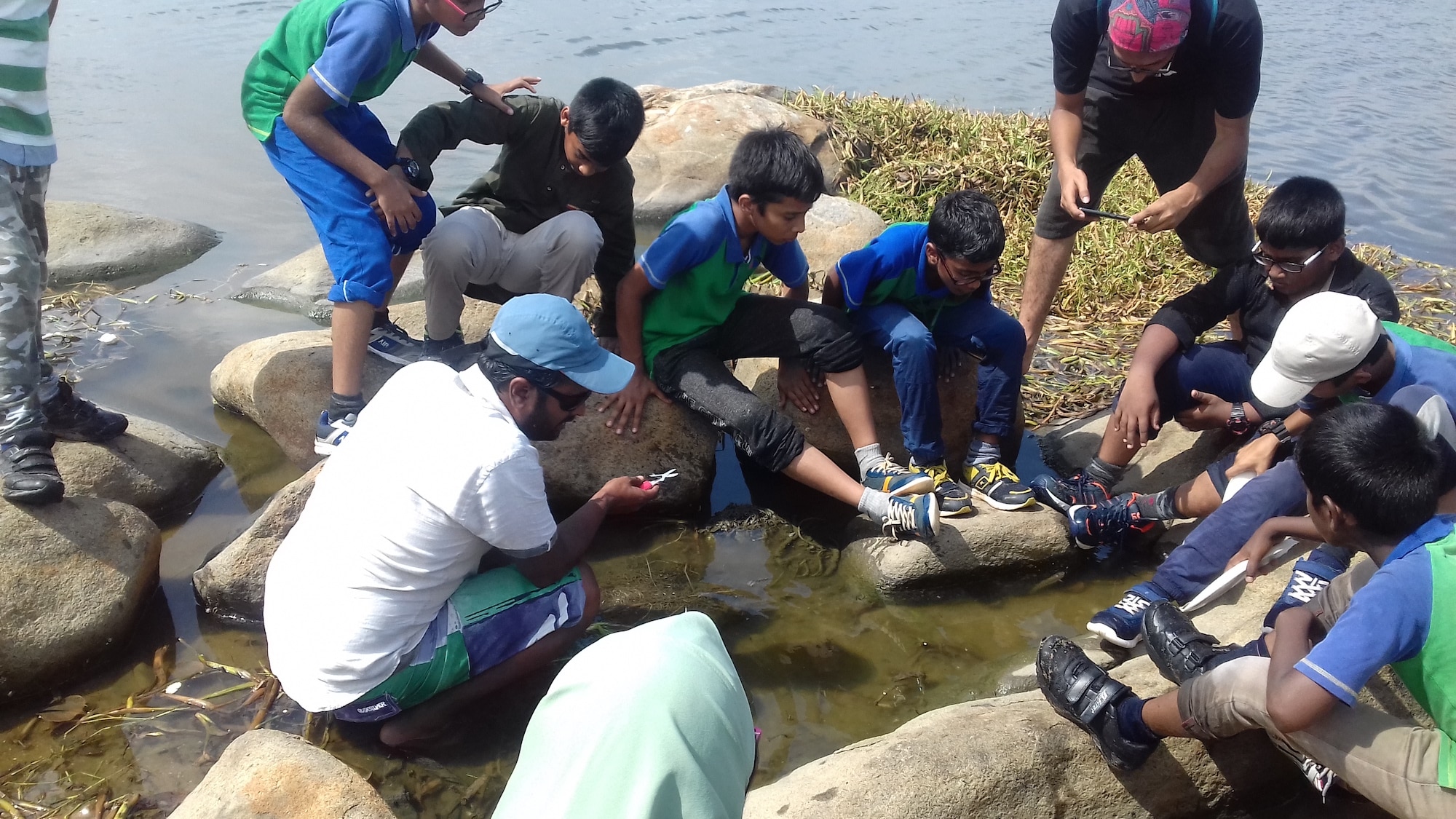 Kids looking in the water of a tide pool