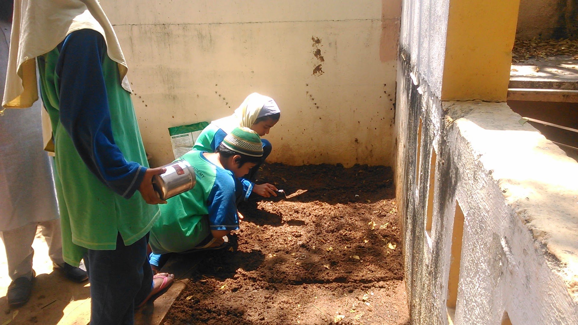 Students looking at a patch of dirt