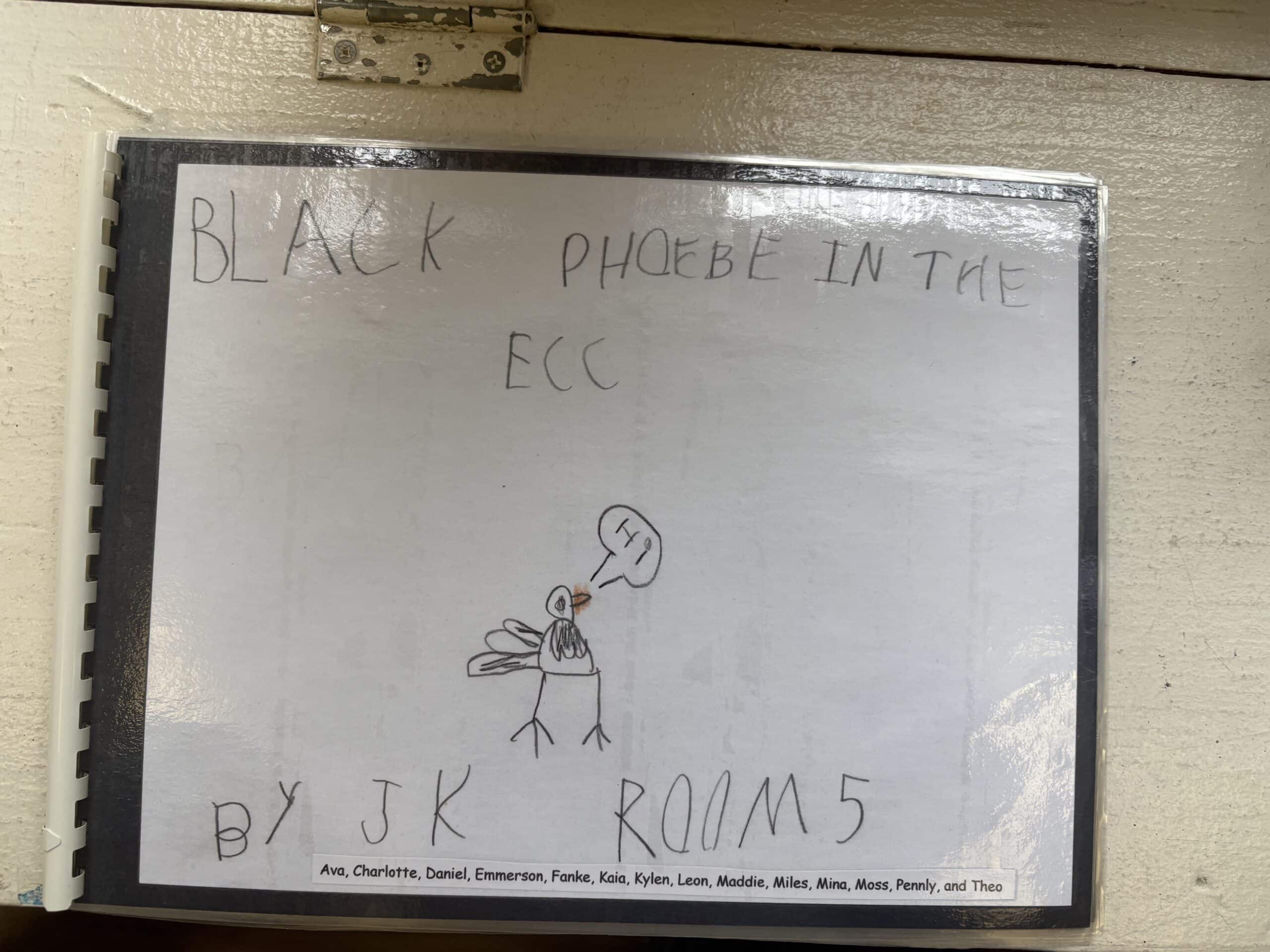 Cover page of black phoebe book