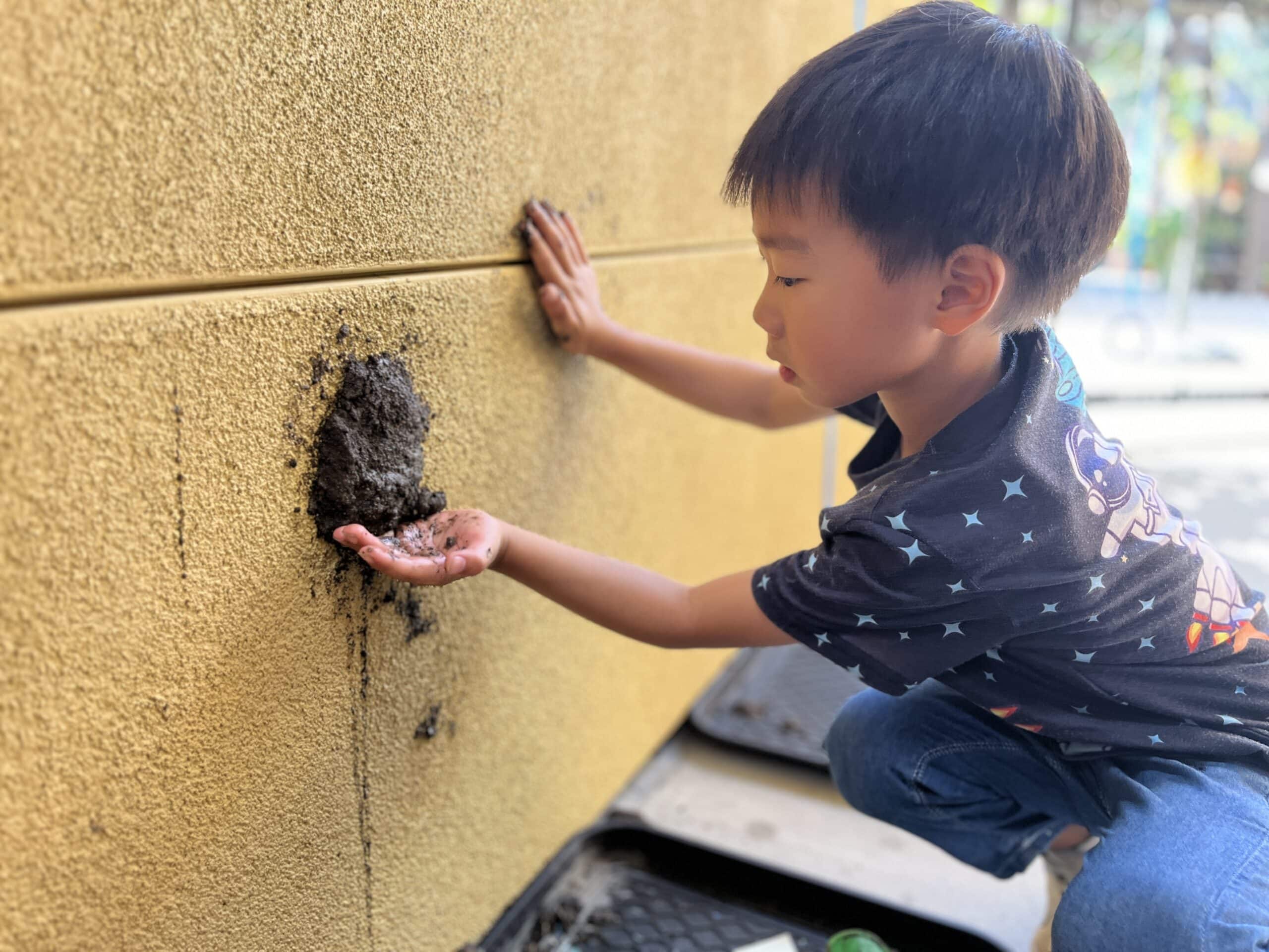 student making mud nest on wall