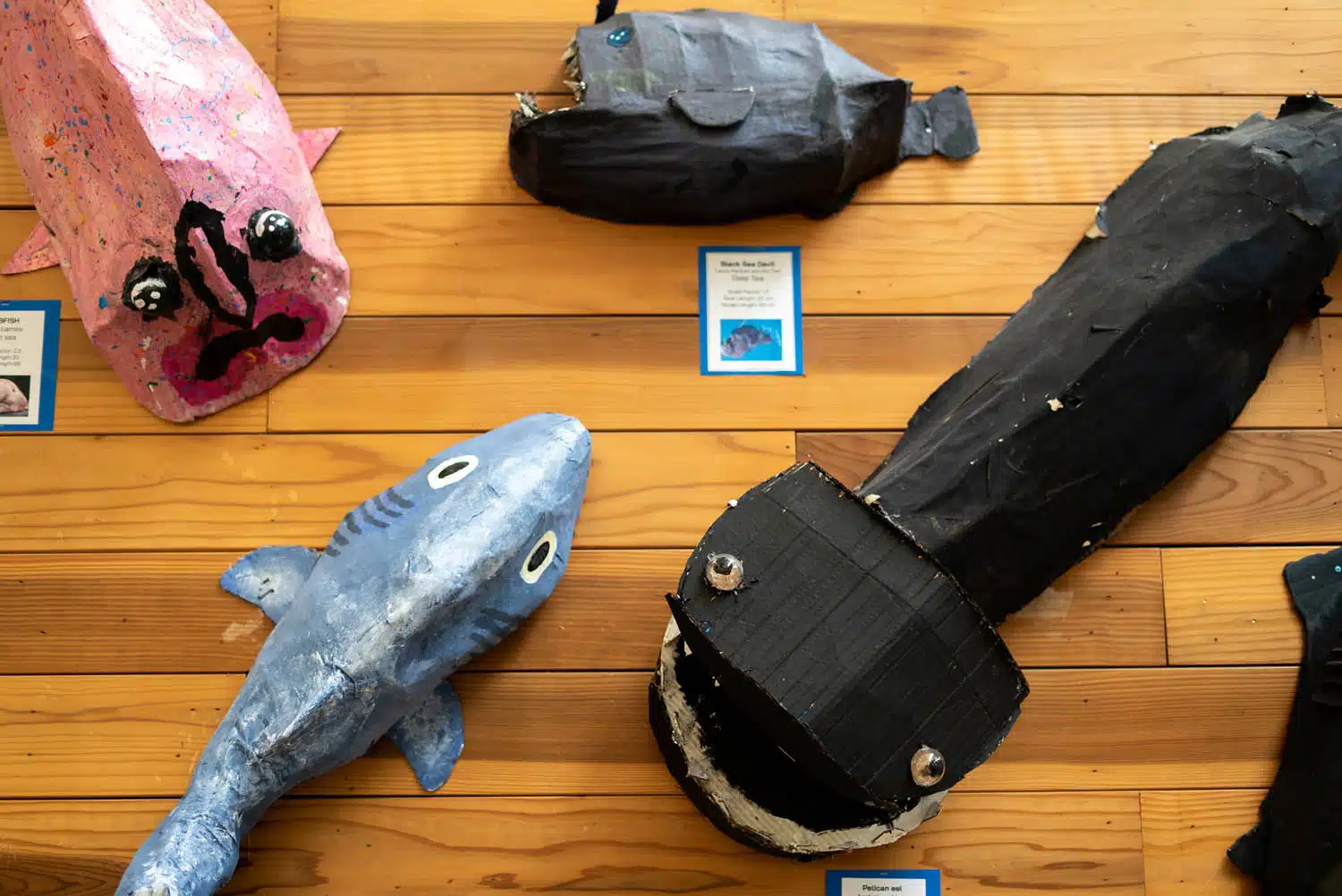 Painted papier-mâché sea creatures, including a pink fish, blue shark, and two black deep-sea fish, are thoughtfully curated on a wooden floor with information cards beside them—perfect for a creative photo essay.