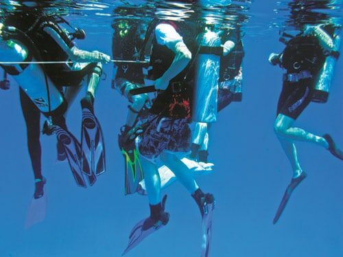 A group of scuba divers is underwater, equipped with tanks and fins. They are swimming in clear blue water, creating a vibrant and lively scene with their colorful gear. Sunlight is visible, filtering through the waters surface.