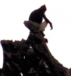 Silhouette of a monkey sitting on the edge of a jagged tree branch against a white sky. The monkey is perched, looking downward with one arm extended.