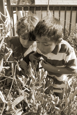Two young boys closely observe plants in a garden. They are surrounded by leaves and stems, leaning in with curiosity. The image is in sepia tones, giving it a vintage look.