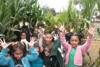 A group of young children smiling and raising their hands in a cornfield. The kids are wearing colorful jackets and seem excited and happy, surrounded by tall green plants.