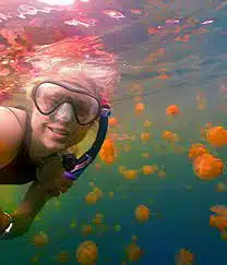 A person wearing a snorkel mask swims underwater surrounded by numerous orange jellyfish. The water is clear, allowing the colorful jellyfish to be seen clearly. The sunlight from above creates a shimmering effect on the waters surface.