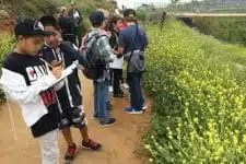 A group of children stands on a dirt path beside a field of yellow flowers. They are holding notebooks and appear to be observing the surroundings, possibly for a nature study. The scene is outdoors on a slightly overcast day.