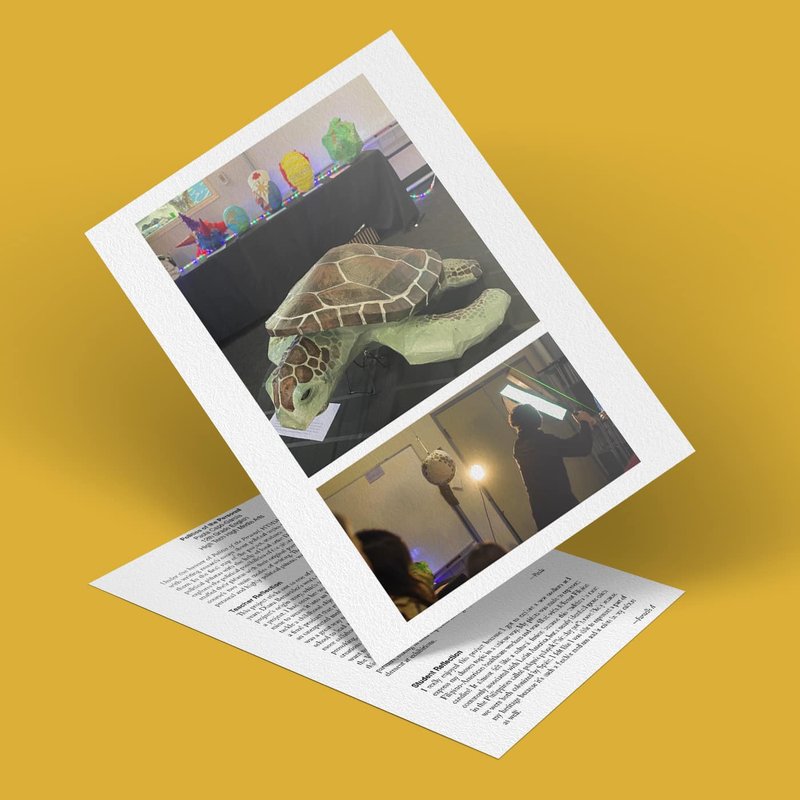 A folded paper with images and text on a mustard-yellow background. One image features a sea turtle model, while another captures a person speaking into a microphone, possibly discussing politics or sharing a personal story. Various objects are blurred in the background as text overlays the paper.