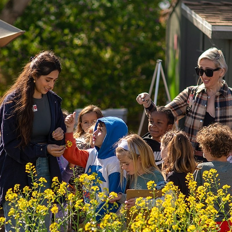 In a vibrant garden, a group of curious children and two adults engage amid bright yellow blossoms. One adult, representing community partnerships, holds a flower, capturing the childrens attention as they explore together in this shared learning experience.