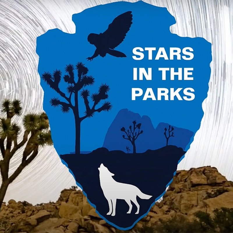 A silhouette of a wolf howling beneath a Joshua tree, with a bird in flight above. The words Stars in the Parks stand out, inviting you to explore the magic. A swirling starry sky forms the backdrop, celebrating natures design thinking at its finest.