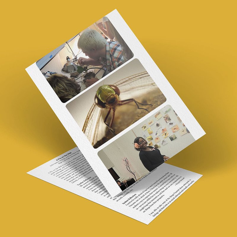 A magazine page set against a yellow backdrop showcases three images: people absorbed in microscope work, a close-up of an insect, and someone presenting with visuals on a wall. The partially visible text invites readers to be a fly on the wall in this world of discovery and insight.