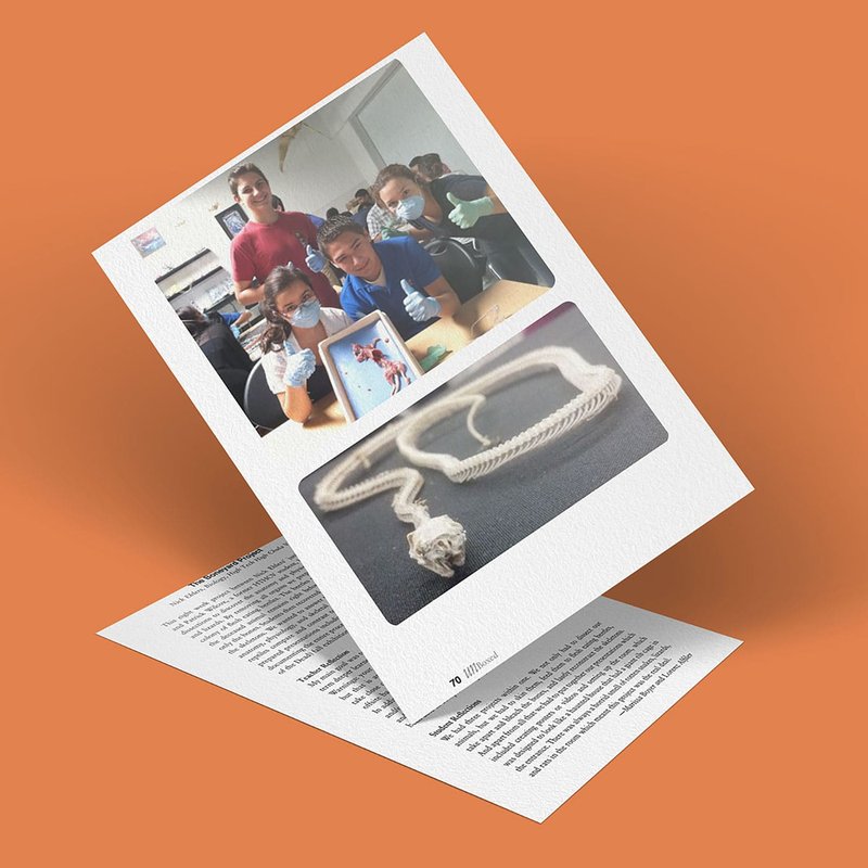 A photo captures a tilted magazine page on an orange background. One page reveals a group posing with a framed picture and a snake skeleton image, reminiscent of an art installation. Underneath, another text-heavy page is partially visible, echoing the innovative spirit of the Boneyard Project.
