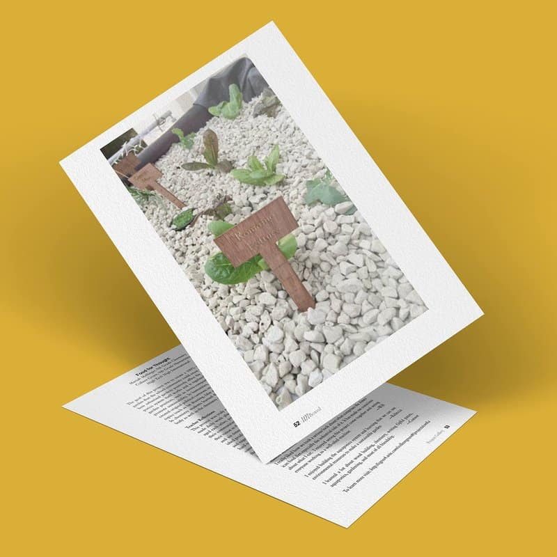 A document with an image of a vegetable garden on a bed of white stones, featuring small wooden signs among the plants, evokes thoughts of sustainable living. Angled against a yellow background, it reveals another page with text beneath, hinting at the harmony found in an aquaponic garden.