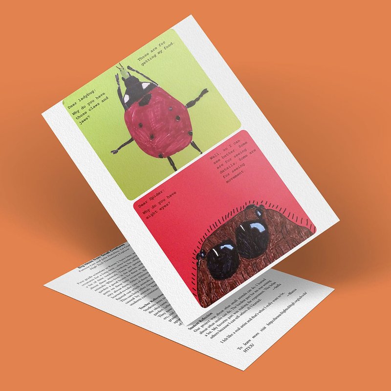 A greeting card showcasing small creatures with big ideas: a cartoon ladybug on a lush green background and another on vibrant red. Both designs dance gracefully above an orange surface, offering whimsical charm and delightful creativity.
