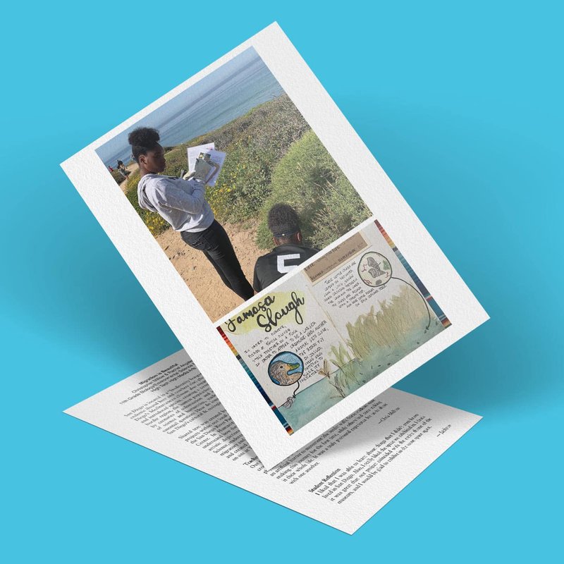 A person stands outside on a sandy path overlooking water, holding papers. A second image on the print reveals a beautifully illustrated educational pamphlet titled Oso Flaco Slough, showcasing bird migration and native plants. The set rests on a turquoise background.