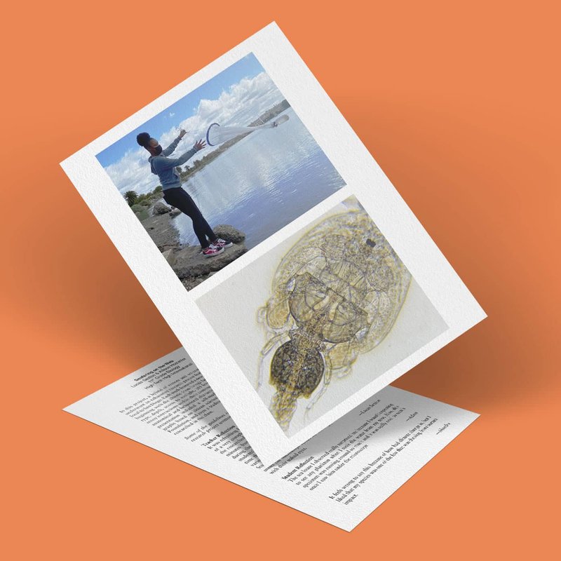 A photo shows a person standing by a lake, pointing toward a distant structure reminiscent of seafaring adventures. A historic anatomical illustration rests on a tilted card against an orange background, with web-like patterns. Text is partially visible on the lower card beneath.