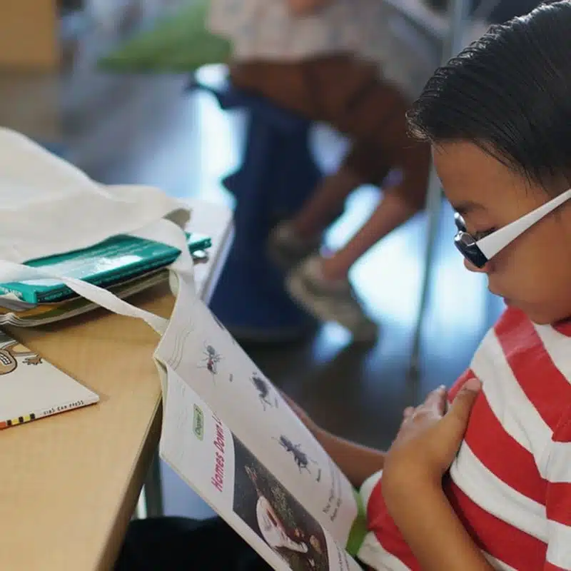 A child wearing glasses and a red striped shirt sits at a desk reading a book about insects, exploring topics that promote culturally responsive education. Nearby are books and a white bag. Another child sits in the background, slightly out of focus.