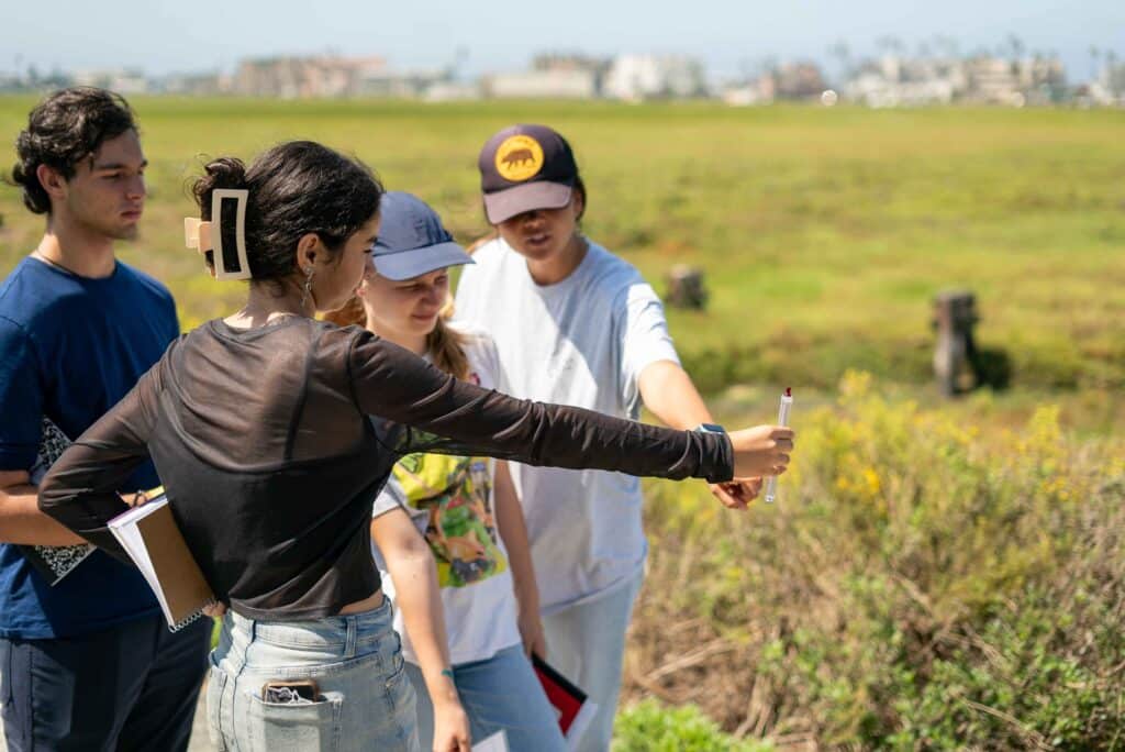 Four young adults stand outdoors in a grassy field, discussing and pointing at something off-camera as part of the PBL Leadership Academy. Two hold notebooks, while one gestures with a pen. Buildings are visible in the blurry background.