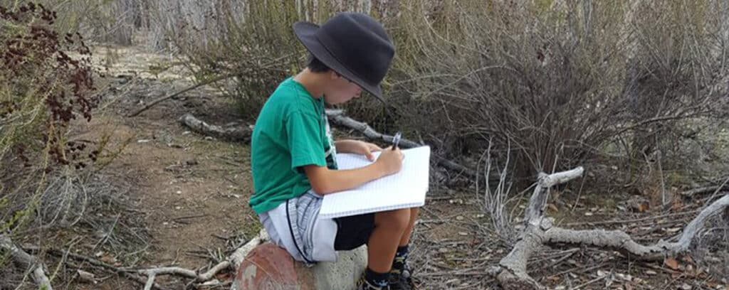 A child wearing a wide-brimmed hat and green shirt sits on a rock outdoors, busy with improvement work or crafting an awesome story in a large notebook, surrounded by dry bushes and branches.