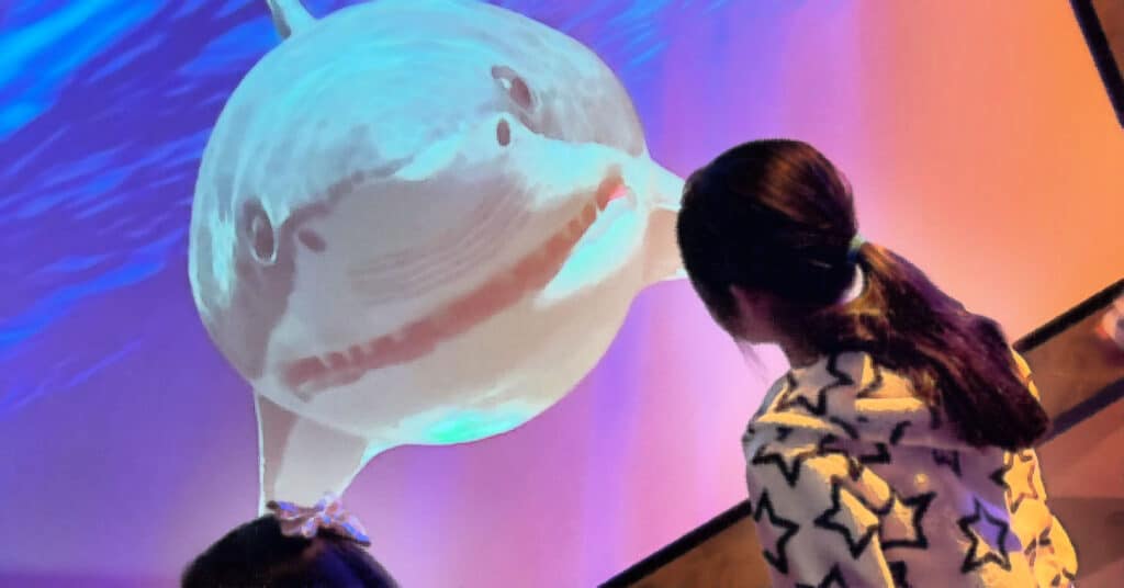 A child in a star-patterned hoodie closely watches a large, lifelike digital projection of a smiling shark on a brightly lit screen.