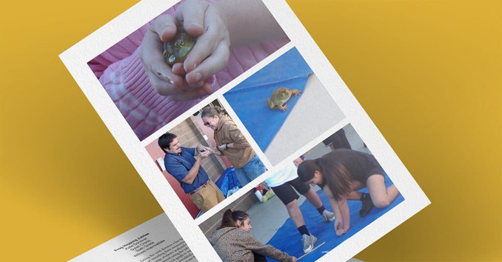 A printed page shows scenes from a Frog Hopping Jubilee: a child holding a frog, a frog on a blue mat, two adults interacting with frogs, and people kneeling on the ground, possibly preparing for the festive event.