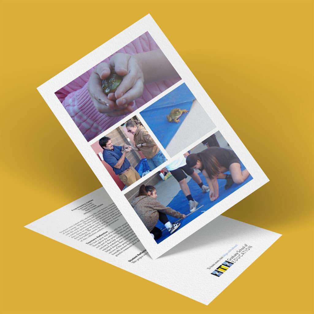 A brochure featuring Frog Festival photos of people interacting with frogs, examining them closely, and kneeling on the floor, displayed on a yellow background. The Institute for Biodiversity Museum logo is included.