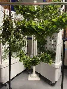 A vertical hydroponic system supports entrepreneurship by enabling the indoor cultivation of abundant green leafy vegetables, with clusters of lettuce and other greens flourishing on sleek upright white towers.