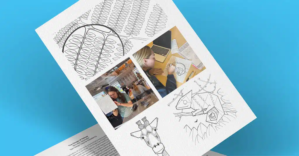 A sheet of paper on a blue background features abstract black pen doodles, two photos of people drawing at a desk, and geometric sketches of faces and shapes, echoing the Shape of Nature. Another similar paper is partially visible beneath it.
