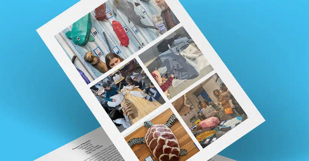 A collage of six photos depicting people creating sea creature costumes and models, including a turtle and various fish, captures the mystery of the oceans, all displayed against a bright blue background.