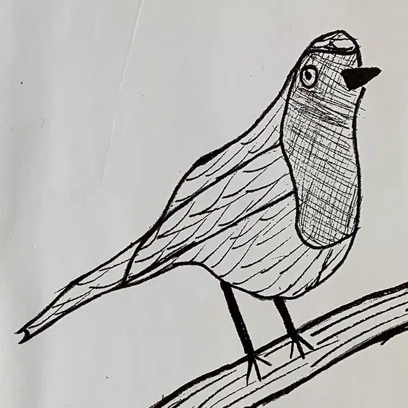 Black ink drawing of a bird with textured wings and chest, standing on a branch, viewed from the side. Created as student work, the illustration features an open beak and a plain white background, highlighting the commitment to leave no student behind in creative expression.