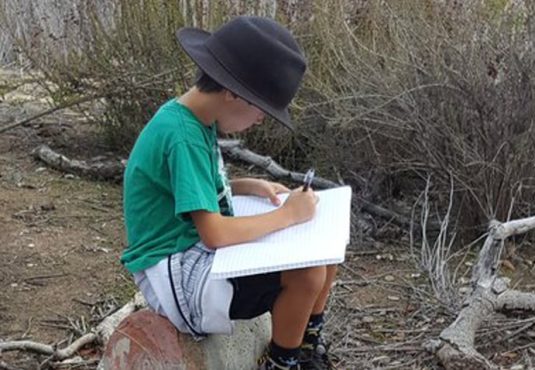 A child wearing a wide-brimmed hat and green shirt sits on a rock outdoors, busy with improvement work or crafting an awesome story in a large notebook, surrounded by dry bushes and branches.